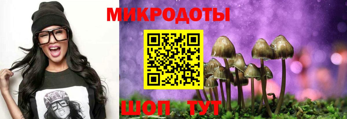 Галлюциногенные грибы GOLDEN TEACHER Скопин