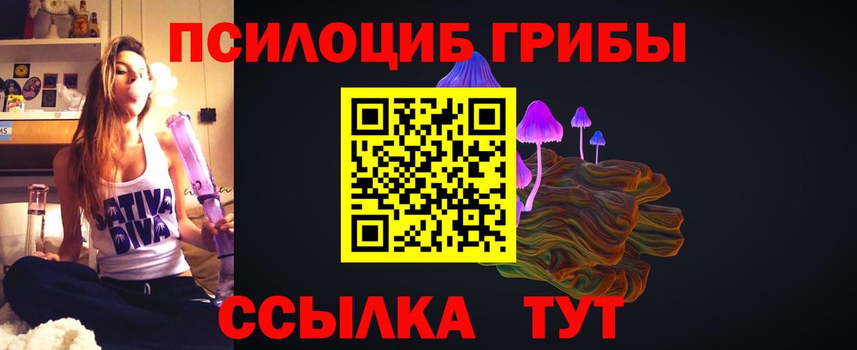 Скопин  Галлюциногенные грибы GOLDEN TEACHER  Вход с VPN 